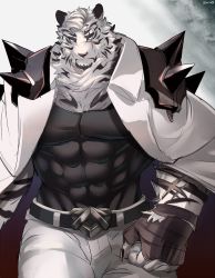 Rule 34 | 1boy, animal ears, arknights, bandages, bandaged arm, bandages, bara, black tank top, bulge, covered abs, covered navel, cowboy shot, fingerless gloves, frown, furry, furry male, gloves, highres, jacket, jacket on shoulders, large pectorals, looking at viewer, male focus, mountain (arknights), muscular, muscular male, pants, pectorals, scar, scar across eye, scar on face, short hair, shoulder spikes, solo, spikes, tank top, thighs, tiger boy, tiger ears, tontorokko (10ntor0), white fur, white hair, white pants