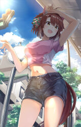 1girl animal_ears armpits breasts brown_eyes brown_hair casual commentary dantsu_flame_(umamusume) highres horse_ears horse_girl horse_tail large_breasts lens_flare looking_at_viewer medium_hair midriff murasaki_himuro navel open_mouth shorts sky solo tail umamusume