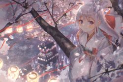 Rule 34 | 1girl, absurdres, animal hood, architecture, blue eyes, blush, branch, cherry blossoms, chromatic aberration, commentary request, east asian architecture, festival, highres, hood, hood down, huge filesize, in tree, japanese clothes, kimono, lantern, light, long hair, looking at viewer, original, oyuyu, paper lantern, red ribbon, ribbon, sash, scenery, silver hair, sitting, sitting in tree, smile, solo, tree, white kimono