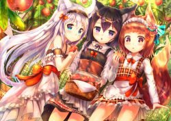 Rule 34 | + +, 3girls, animal ears, apple, basket, black hair, blue eyes, bow, brown eyes, brown hair, chestnut mouth, dress, eating, food, fruit, hair bow, hair ornament, hairclip, headdress, heart, heart-shaped pupils, holding, looking at viewer, multiple girls, open mouth, original, purple eyes, sakura ani, silver hair, smile, sparkle, symbol-shaped pupils, tail
