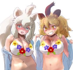 Rule 34 | 2girls, animal ears, bare shoulders, big hair, bikini, blue eyes, blue jacket, blush, commentary request, fang, flower, highres, ieinu account, jacket, kemono friends, kemono friends 3, lion (kemono friends), lion ears, lion girl, long hair, matching outfits, midriff, multiple girls, navel, official alternate costume, open clothes, open jacket, open mouth, removing jacket, smile, spaghetti strap, swimsuit, teeth, white bikini, white lion (kemono friends), yellow eyes
