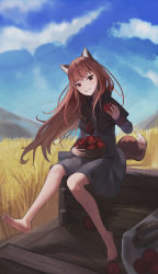 Rule 34 | 1girl, absurdres, animal ears, apple, barefoot, black capelet, blue sky, blurry, blurry foreground, brown hair, capelet, cloud, day, dress, feet, floating hair, food, fruit, full body, fur-trimmed capelet, fur trim, grey dress, grin, head tilt, highres, holding, holding food, holding fruit, holo, long hair, long sleeves, looking at viewer, mountainous horizon, outdoors, red apple, red eyes, short dress, sitting, sky, smile, soles, solo, spice and wolf, straight hair, tail, toes, very long hair, wheat field, wolf ears, wolf tail, wuzhihuijia