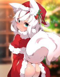 Rule 34 | 1girl, animal ear fluff, animal ears, ass, blue eyes, blush, bow, christmas, christmas tree, clothes lift, dress, dress lift, facial mark, fang, flying sweatdrops, fox ears, fox girl, fox tail, from behind, fundoshi, fur trim, hair bow, hat, highres, japanese clothes, lifted by tail, long hair, looking back, original, panties, red dress, red hat, ribbon, santa costume, santa hat, solo, tail, thighs, underwear, white hair, white panties, zamudelin