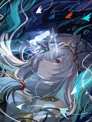 Rule 34 | 1girl, abstract background, angelfish, arknights, bare shoulders, blue background, collar, commentary, dress, fish, grey hair, hair over one eye, highres, leaning back, light frown, long hair, phoenix crown, red eyes, sidelocks, skadi (arknights), skadi the corrupting heart (arknights), skadi the corrupting heart (sublimation) (arknights), solo, tropical fish, upper body, waves, weeiskaw, white dress, white headwear