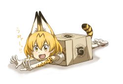 Rule 34 | 10s, animal ears, bare shoulders, bow, box, cardboard box, commentary request, gloves, highres, japari symbol, kemono friends, lying, multicolored hair, on stomach, open mouth, outstretched hand, serval (kemono friends), serval print, serval tail, short hair, solo, tail, thighhighs, thin (suzuneya), translation request, v-shaped eyebrows