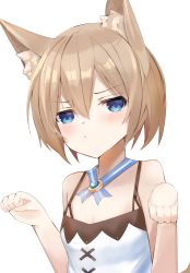 Rule 34 | 1girl, animal ears, annoyed, bare shoulders, bimmy, blanc (neptunia), blue eyes, blush, breasts, brown hair, cat ears, cat girl, cat tail, cleavage, dress, embarrassed, hair between eyes, hands up, highres, kemonomimi mode, looking at viewer, neptune (series), parted lips, paw pose, short hair, simple background, small breasts, solo, spaghetti strap, tail, upper body, white background, white dress