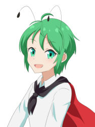 Rule 34 | 1girl, ahoge, antennae, black cape, cape, cato (monocatienus), commentary request, green eyes, green hair, long sleeves, looking at viewer, open mouth, red cape, shirt, short hair, simple background, solo, standing, touhou, two-tone cape, upper body, white background, white shirt, wriggle nightbug