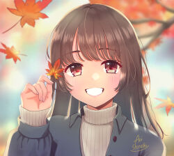 Rule 34 | 1girl, absurdres, artist name, autumn leaves, blurry, blurry background, blush, brown eyes, brown hair, day, derivative work, hand up, highres, holding, holding leaf, leaf, long hair, long sleeves, maple leaf, original, outdoors, shirushi aoi, smile, sweater