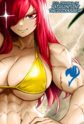 Rule 34 | 1girl, abs, arm tattoo, blue tattoo, breasts, cleavage, erza scarlet, fairy tail, hair over one eye, highres, large breasts, looking at viewer, muscular, muscular arms, muscular female, red hair, scar, scar on arm, scar on breasts, scar on chest, scar on shoulder, scar on shoulders, shoulder tattoo, smile, solo, tagme, tattoo, the golden smurf