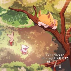 Rule 34 | bokomon, closed eyes, digimon, forest, looking at another, nature, neamon, patamon, tongue, tongue out, tree, wings