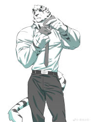 Rule 34 | 1boy, absurdres, adjusting clothes, adjusting necktie, alternate costume, animal ears, arknights, bara, feet out of frame, formal, furry, furry male, grey pants, highres, ju neng binggui, male focus, mountain (arknights), muscular, muscular male, necktie, pants, pectorals, scar, scar across eye, scar on face, short hair, solo, standing, tail, thighs, tiger boy, tiger ears, tiger tail, weibo logo, weibo watermark, white fur, white hair