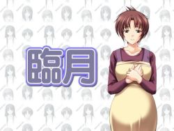 Rule 34 | apron, breasts, hizuki yuiko, large breasts, pregnant, ringetsu, tagme