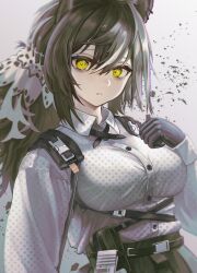 Rule 34 | 1girl, absurdres, animal ears, arknights, bags under eyes, belt, belt pouch, black belt, black gloves, breasts, brown hair, chest harness, collared shirt, commentary, cross tie, eabiasan, ear piercing, freckles, gloves, grey background, hair between eyes, hand on own chest, harness, highres, large breasts, long hair, looking at viewer, multicolored hair, parted lips, piercing, polka dot, polka dot shirt, ponytail, pouch, raccoon ears, raccoon girl, robin (arknights), shirt, shirt tucked in, simple background, solo, two-tone hair, upper body, white hair, wing collar, yellow eyes