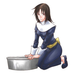 Rule 34 | 1girl, brown hair, dress, female focus, full body, gensou suikoden, gensou suikoden i, kneeling, long hair, miyaky, red eyes, sarah (suikoden i), simple background, solo, white background