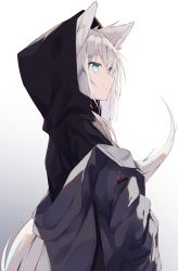 Rule 34 | 1girl, animal ears, black hoodie, blue eyes, closed mouth, commentary request, gradient background, grey background, grey hair, grey jacket, hair between eyes, highres, hood, hood up, hoodie, jacket, light smile, long hair, looking away, nagishiro mito, off shoulder, open clothes, open jacket, original, solo, tail, tail raised, upper body, very long hair, white background, wolf ears, wolf girl, wolf tail