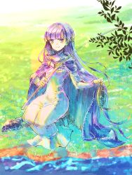 Rule 34 | 1girl, absurdly long hair, absurdres, braid, breasts, cape, commission, commissioner upload, dress, fire emblem, fire emblem: the binding blade, fish, fishing, fishing rod, french braid, highres, holding, lake, long hair, medium breasts, miyama (lacrima01), nature, nintendo, purple hair, smile, solo, sophia (fire emblem), very long hair, water