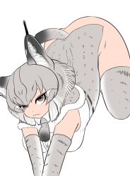 Rule 34 | 1girl, animal ears, arched back, ass, bokoboko (pandagapanda1), breast press, breasts, cat ears, cat tail, detached sleeves, eurasian lynx (kemono friends), full body, hands on ground, highres, kemono friends, large breasts, legs apart, looking at viewer, no panties, short hair, simple background, solo, spread legs, stretching, tail, thighhighs, top-down bottom-up, white background