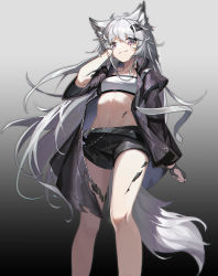 Rule 34 | 1girl, absurdres, animal ears, arknights, bandeau, bare legs, black jacket, black shorts, commentary request, feet out of frame, gradient background, grey background, grey eyes, grin, hair ornament, hairclip, hand up, highres, jacket, lappland (arknights), long hair, long sleeves, looking at viewer, material growth, midriff, mo ying yu, navel, open clothes, open jacket, oripathy lesion (arknights), scar, scar across eye, short shorts, shorts, smile, solo, standing, stomach, strapless, tail, thighs, tube top, very long hair, white hair, wolf ears, wolf tail