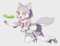 Rule 34 | 1girl, animal ear fluff, animal ears, blue eyes, boots, dog (mixed breed) (kemono friends), dog ears, dog tail, elbow gloves, fangs, frisbee, fur trim, gloves, grey hair, harness, heterochromia, jacket, jumping, kemono friends, midair, multicolored hair, nyifu, open mouth, pantyhose, paw pose, pleated skirt, scarf, short hair, short sleeves, skirt, solo, sweater, tail, white hair, yellow eyes
