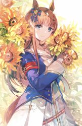 Rule 34 | 1girl, animal ears, blue bow, blue eyes, blue jacket, bow, brown hair, closed mouth, commentary request, dress, flower, grass wonder (umamusume), hair bow, highres, holding, holding flower, horse ears, horse girl, horse tail, jacket, long hair, long sleeves, looking at viewer, rioka (southern blue sky), smile, solo, striped, striped bow, sunflower, tail, umamusume, very long hair, white dress, yellow flower