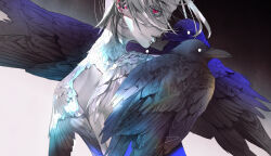Rule 34 | 1boy, bird, black background, crow, ear piercing, earrings, expressionless, feathers, floating hair, from behind, gradient background, grey background, grey hair, jewelry, looking at viewer, male focus, original, parted lips, piercing, pink eyes, short hair, solo, upper body, yue (memento1113)