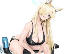 Rule 34 | animal ear fluff, animal ears, bare arms, bare shoulders, black sports bra, blonde hair, blue archive, blue eyes, blue halo, breasts, cleavage, clenched teeth, collarbone, commentary request, dog ears, dog girl, hair over one eye, halo, highres, kanna (blue archive), large breasts, paid reward available, sebakanken, sharp teeth, simple background, sitting, sports bra, teeth, tumbler, white background