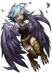 Rule 34 | 1girl, ahoge, bad id, bad twitter id, blue hair, feathered wings, feathers, female focus, harpy, htm (gixig), inactive account, monster girl, monster musume no iru nichijou, one eye closed, open mouth, papi (monster musume), shedding, shedding feathers, short shorts, shorts, simple background, solo, white background, wings