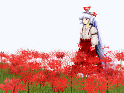 Rule 34 | 1girl, bad id, bad pixiv id, bow, female focus, field, flower, flower field, fujiwara no mokou, hair bow, hands in pockets, kams, long sleeves, nature, pants, parody, solo, style parody, touhou, white hair, zun (style)