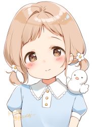 Rule 34 | 1girl, aged down, arms at sides, artist name, bad id, bad pixiv id, bird, blonde hair, blue shirt, blush, brown eyes, chick, child, closed mouth, collared shirt, flower, hair flower, hair ornament, head tilt, idolmaster, idolmaster shiny colors, kinako (shiratama mochi), lace trim, looking at viewer, puffy short sleeves, puffy sleeves, sakuragi mano, shirt, short hair, short sleeves, short twintails, sidelocks, simple background, smile, solo, tareme, twintails, twitter username, upper body, white background, white flower