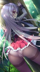 Rule 34 | 1girl, against tree, artist request, ass, black pantyhose, blush, braid, breasts, dutch angle, frills, from behind, highres, long hair, looking at viewer, looking back, nipples, open mouth, panties, panties under pantyhose, pantyhose, purple eyes, purple hair, red skirt, school uniform, serafuku, skirt, source request, thighband pantyhose, tree, underwear, white panties