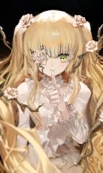Rule 34 | 1girl, absurdres, black background, blonde hair, closed mouth, doll joints, finger to mouth, flower, flower over eye, green eyes, hair flower, hair ornament, hand up, highres, joints, kirakishou, long hair, long sleeves, looking at viewer, rose, rozen maiden, rsef, shirt, shushing, simple background, smile, solo, very long hair, white flower, white rose, white shirt