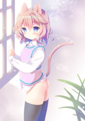 Rule 34 | 1girl, amanagi seiji, animal ears, black thighhighs, blue eyes, blush, bottomless, cat ears, copyright request, cowboy shot, from side, hair between eyes, highres, long sleeves, looking at viewer, mimiket, petals, pink hair, plant, pussy juice, shadow, shirt, short hair, solo, standing, sunlight, tail, thighhighs, vest, white shirt, window