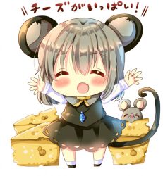 Rule 34 | 1girl, :d, ^ ^, animal, animal ears, black skirt, blush, capelet, cheese, chocolat (momoiro piano), closed eyes, commentary request, facing viewer, fang, food, full body, grey capelet, grey hair, hair between eyes, long hair, long sleeves, mouse (animal), mouse ears, mouse girl, mouse tail, nazrin, open mouth, outstretched arms, shirt, simple background, skirt, smile, socks, solo, standing, tail, touhou, translation request, white background, white shirt, white socks