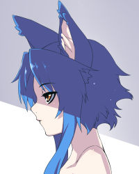 Rule 34 | 1girl, animal ears, bare shoulders, blue hair, expressionless, from side, long hair, original, portrait, profile, shade, short hair with long locks, sidelocks, solo, tsuki tokage, yellow eyes