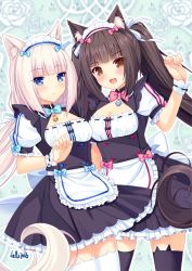 Rule 34 | 10s, 2girls, :3, :d, animal ear legwear, animal ears, apron, artist name, bad id, bad pixiv id, bell, black legwear, blue eyes, blunt bangs, blush, bow, bowtie, breasts, brown eyes, brown hair, cat ear legwear, cat ears, chocola (nekopara), cleavage, cleavage cutout, clothing cutout, contrapposto, dutch angle, felicia-val, frilled apron, frills, hair ribbon, jingle bell, long hair, looking at viewer, low twintails, maid, maid apron, maid headdress, multiple girls, nekopara, open mouth, original, pale skin, puffy short sleeves, puffy sleeves, ribbon, short sleeves, signature, slit pupils, small breasts, smile, standing, thighhighs, twintails, vanilla (nekopara), very long hair, waist apron, white hair, white legwear, wrist cuffs, zettai ryouiki