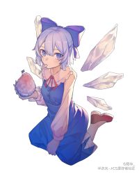 Rule 34 | 1girl, absurdres, blue bow, blue dress, blue eyes, blue hair, blush, bow, bowl, buttons, cirno, collared shirt, commentary, copyright notice, dress, food, full body, hair bow, highres, holding, holding bowl, ice, ice wings, loafers, long sleeves, looking at viewer, mouth hold, neck ribbon, red footwear, red ribbon, ribbon, shaved ice, shirt, shoes, short hair, simple background, solo, spoon, symbol-only commentary, touhou, utensil in mouth, white background, white shirt, wings, yangsan (2991076090)