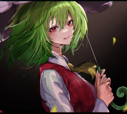 Rule 34 | 1girl, ascot, blurry, blurry foreground, collared shirt, dark background, frilled ascot, frills, from side, gradient background, green hair, head tilt, holding, holding umbrella, kazami yuuka, kurozu piroo, long sleeves, looking at viewer, looking to the side, medium hair, plaid, plaid vest, red eyes, red vest, shirt, solo, touhou, umbrella, upper body, vest, white shirt, yellow ascot