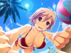 Rule 34 | 1girl, ball, beach volleyball, beachball, bikini, blush, bouncing breasts, breasts, brown eyes, brown hair, cleavage, cloud, coconut, collarbone, day, fang, fisheye, foreshortening, front-tie top, large breasts, lens flare, open mouth, original, palm tree, sand, short hair, side-tie bikini bottom, sky, solo, strap gap, swimsuit, tree, ulisutariasu, volleyball net