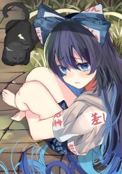 Rule 34 | 1girl, :/, absurdres, animal ears, black cat, blue eyes, blue hair, blue skirt, blush, breasts, cat, cat ears, cat tail, checkered clothes, checkered skirt, colored inner hair, commentary request, dark blue hair, debt, furrowed brow, gannmonnga, grass, grey hoodie, hair between eyes, highres, hood, hoodie, long hair, looking at viewer, multicolored hair, no nose, short sleeves, sitting, skirt, sleeping, small breasts, solo, stone floor, tail, thighs, touhou, whiskers, worried, yorigami shion