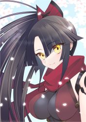 Rule 34 | 1girl, black hair, breasts, cherry blossoms, diamond-shaped pupils, diamond (shape), falling petals, fate/grand order, fate (series), glowing, highres, katou danzou (fate), leotard, medium breasts, parted bangs, petals, ponytail, portrait, scarf, simple background, smile, solo, symbol-shaped pupils, yellow eyes