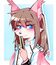 Rule 34 | 1boy, animal ear fluff, animal ears, animal nose, artist name, blue background, blue eyes, border, brown hair, chromatic aberration, commentary, dog boy, dog ears, fan to mouth, furry, furry male, hand fan, highres, holding, holding fan, lisuchi, long hair, long sleeves, looking to the side, male focus, pink fur, sidelocks, signature, smile, snout, solo, tanetomo (housamo), tokyo houkago summoners, two-tone fur, uniform, upper body, white border
