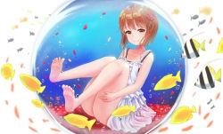 Rule 34 | 1girl, air bubble, animal, bare arms, bare legs, bare shoulders, barefoot, blush, brown eyes, brown hair, bubble, closed mouth, collarbone, commentary request, dress, fish, flower, hagiwara yukiho, hair flower, hair ornament, hugging own legs, idolmaster, idolmaster (classic), in bubble, mimikaki (men bow), red flower, short hair, sleeveless, sleeveless dress, smile, soles, solo, submerged, water, white dress