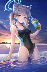 Rule 34 | 1girl, animal ear fluff, animal ears, black one-piece swimsuit, blue archive, blue eyes, breasts, commentary request, competition swimsuit, covered navel, cowboy shot, cross hair ornament, drink, extra ears, grey hair, hair ornament, halo, highres, junma art, low ponytail, medium breasts, medium hair, mismatched pupils, multicolored clothes, multicolored swimsuit, ocean, one-piece swimsuit, pool, poolside, shiroko (blue archive), shiroko (swimsuit) (blue archive), solo, sunset, swimsuit, tumbler, water