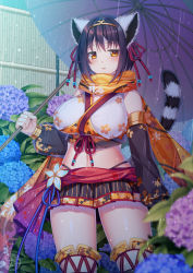 Rule 34 | 1girl, animal ears, black hair, black skirt, blue flower, blurry, breasts, commentary request, cowboy shot, crop top, depth of field, detached sleeves, flower, highleg, holding, holding umbrella, hydrangea, japanese clothes, large breasts, long sleeves, looking at viewer, matatabi maru, midriff, miniskirt, navel, oil-paper umbrella, orange eyes, original, parted lips, pleated skirt, purple flower, rain, scarf, short hair, skirt, solo, stomach, tail, thighhighs, umbrella, zettai ryouiki