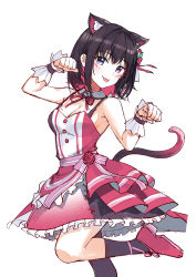 Rule 34 | 1girl, absurdres, animal ears, azki (3rd costume) (hololive), azki (hololive), breasts, brown hair, cat ears, cat tail, cleavage, colored inner hair, detached collar, dress, frilled dress, frills, hair ribbon, hands up, highres, hololive, knee up, looking at viewer, multicolored hair, nonbire, paw pose, purple eyes, red footwear, ribbon, simple background, small breasts, socks, solo, striped ribbon, tail, tongue, tongue out, two-tone hair, virtual youtuber, white background, wrist cuffs