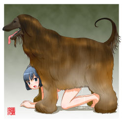 Rule 34 | 1girl, all fours, animal, bestiality, cum, cum in pussy, cumdrip, dog, doggystyle, female focus, kneeling, machino henmaru, nude, open mouth, sex, sex from behind, tail, toes, vaginal