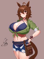 Rule 34 | 1girl, 9is, absurdres, agnes tachyon (lunatic lab) (umamusume), agnes tachyon (umamusume), ahoge, alternate breast size, animal ears, belt, bikini, black bikini, breasts, brown eyes, brown hair, denim, denim shorts, green shirt, hands on own hips, highres, horse ears, horse tail, huge breasts, midriff, navel, open clothes, open shorts, shirt, shorts, signature, sleeves rolled up, smile, swimsuit, tail, tied shirt, umamusume