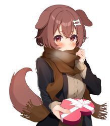 Rule 34 | 1girl, alternate costume, animal ears, black coat, blush, bone hair ornament, box, brown cardigan, brown eyes, brown hair, brown scarf, brown tail, cardigan, cartoon bone, coat, dog ears, dog girl, dog tail, gift, giving, hair between eyes, hair ornament, hands up, heart-shaped box, highres, holding, holding gift, hololive, inugami korone, looking at viewer, open mouth, scarf, scarf pull, solo, tail, takumin dx, upper body, virtual youtuber, white background