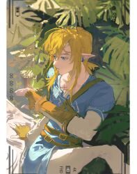 Rule 34 | 1boy, absurdres, belt, blonde hair, blue eyes, blue tunic, blurry, day, dreamfulinmine, earrings, elf, eyelashes, fingerless gloves, gloves, harness, highres, jewelry, light, link, long hair, looking afar, male focus, multiple belts, nintendo, outdoors, pants, parted lips, pillarboxed, plant, pointy ears, sidelocks, sitting, solo, sunlight, swept bangs, the legend of zelda, the legend of zelda: breath of the wild, tunic, viewfinder, white pants, yellow belt, yellow gloves