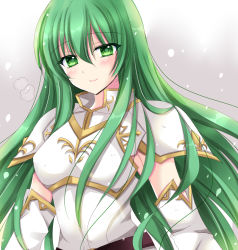 Rule 34 | 1girl, armor, belt, blush, breastplate, closed mouth, erinys (fire emblem), fire emblem, fire emblem: genealogy of the holy war, green eyes, green hair, kirishima riona, long hair, looking at viewer, nintendo, shoulder armor, simple background, smile, snow, solo, upper body